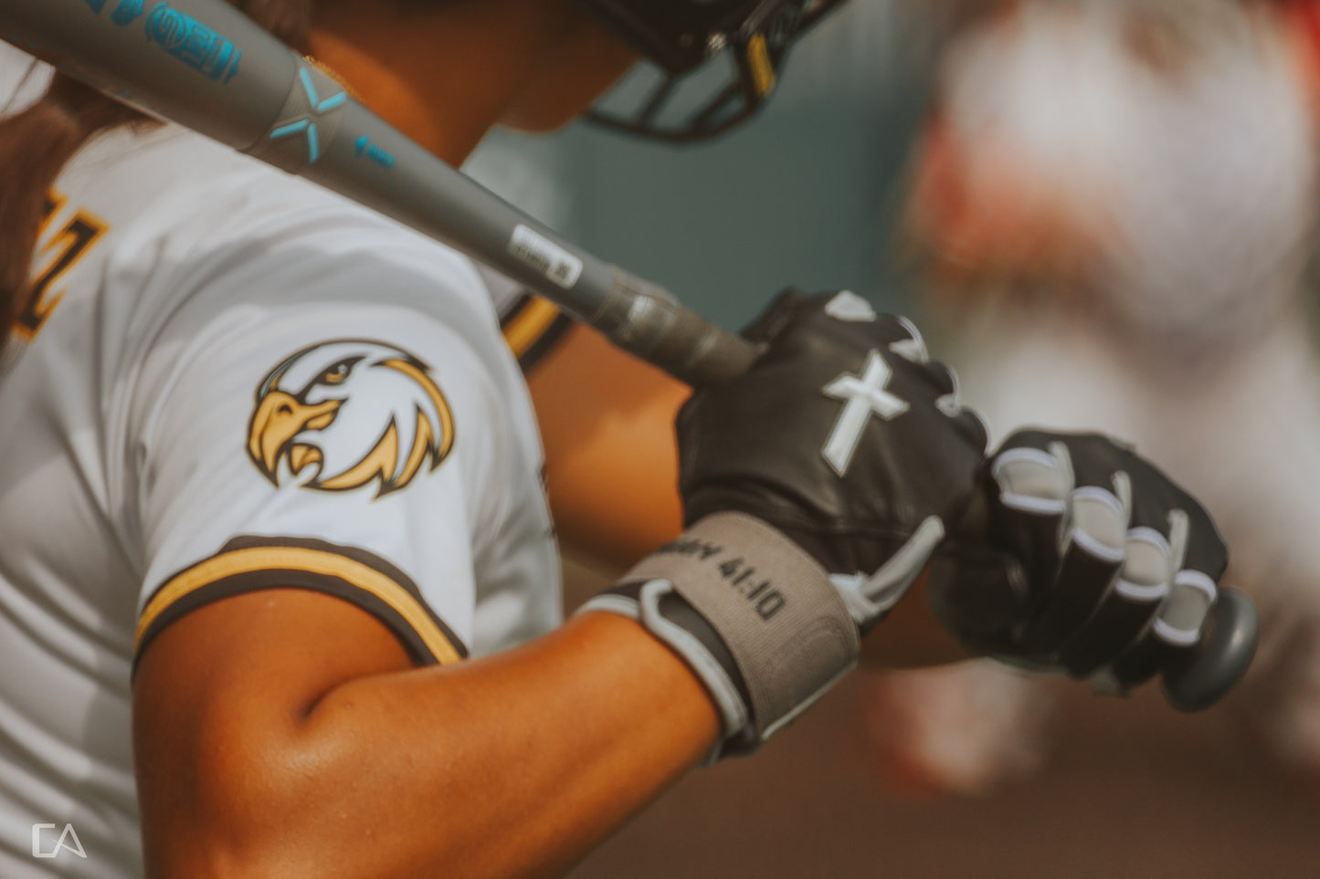 Black/Silver Batting Gloves