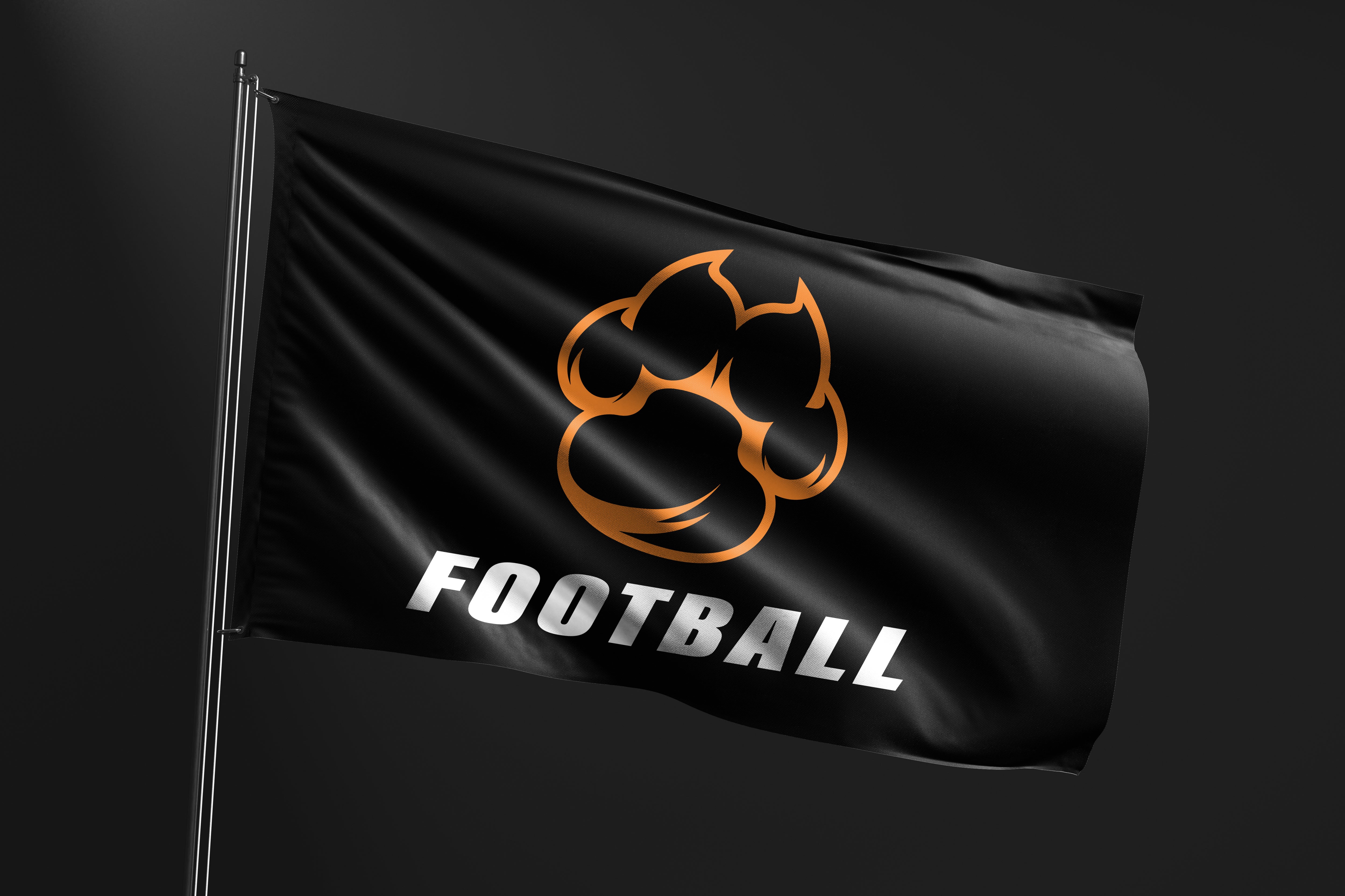 Cocoa Tigers Football Flag Cocoa High School Florida Four One Sports