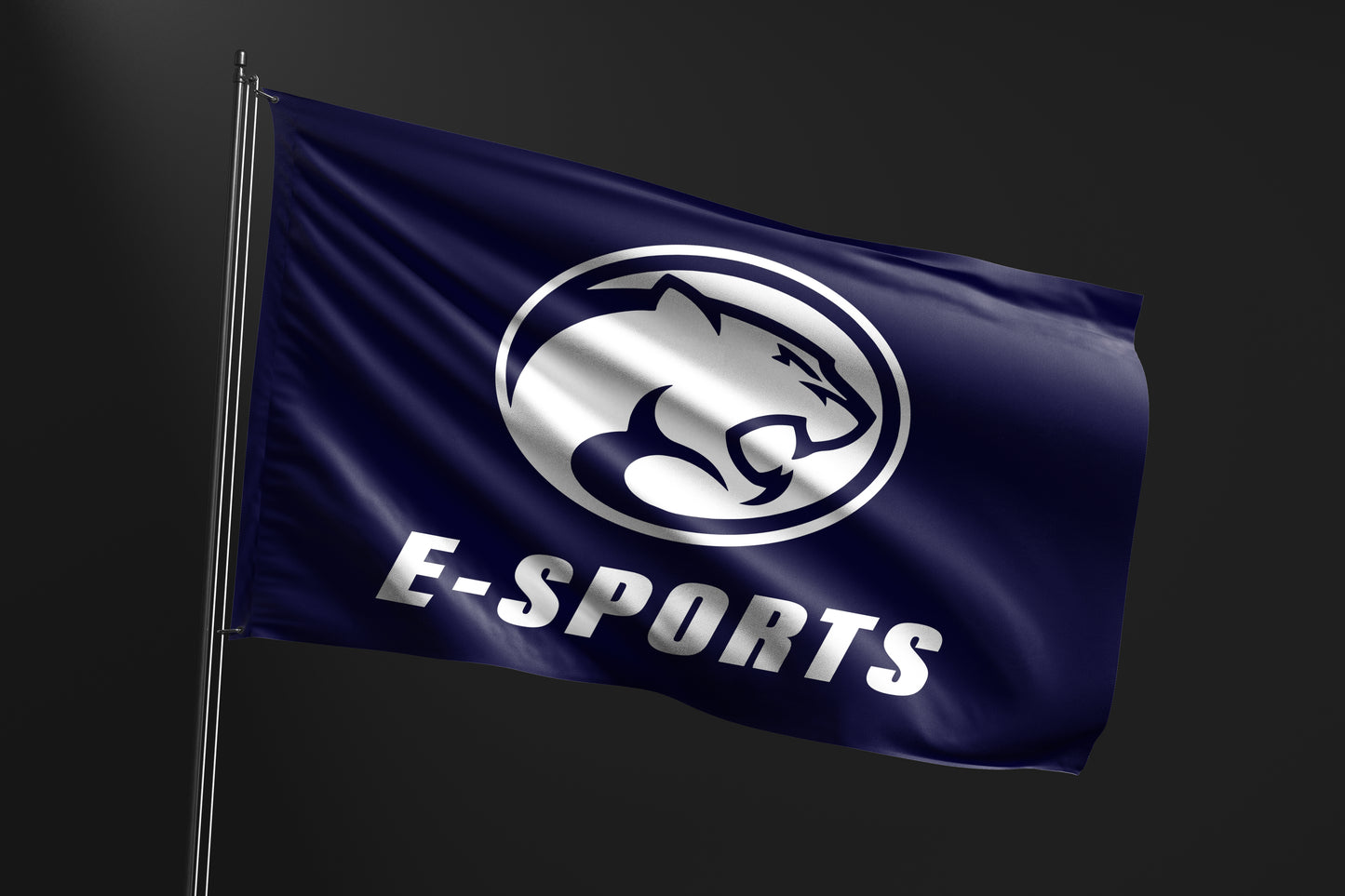 MICS E-Sports Flag